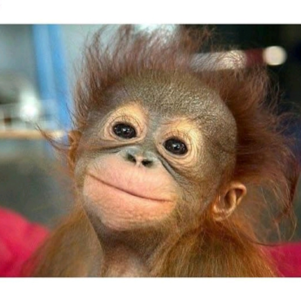 Meet your Posher, Briana